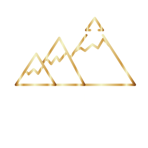 Investissements en ligne